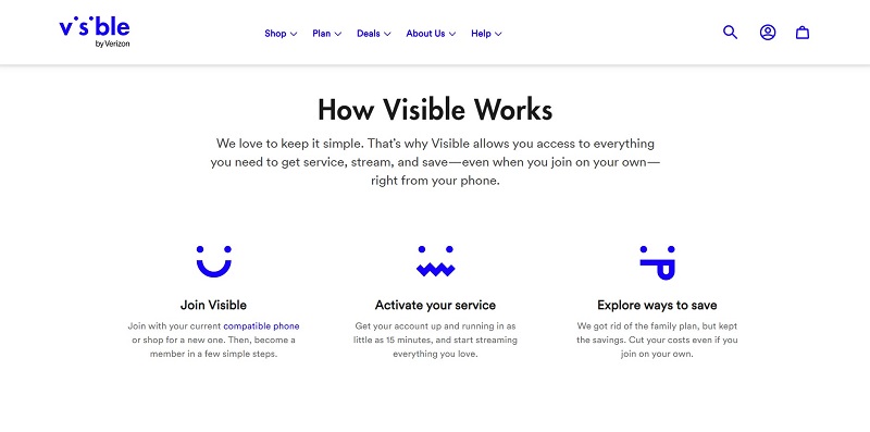 how visible works