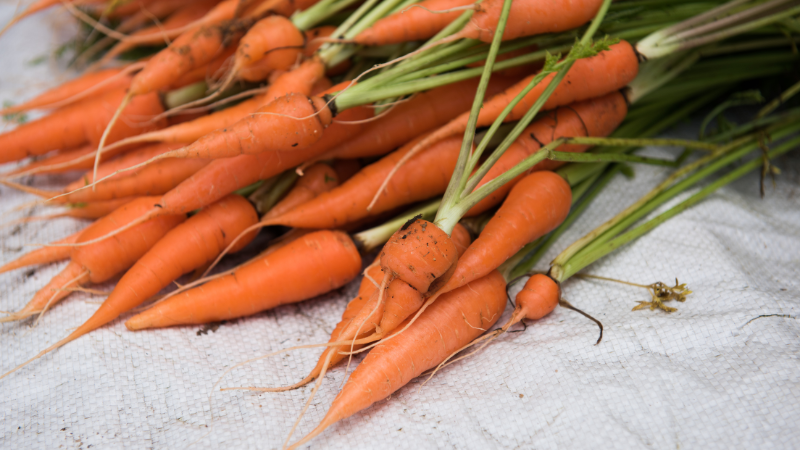cheap foods to buy carrots