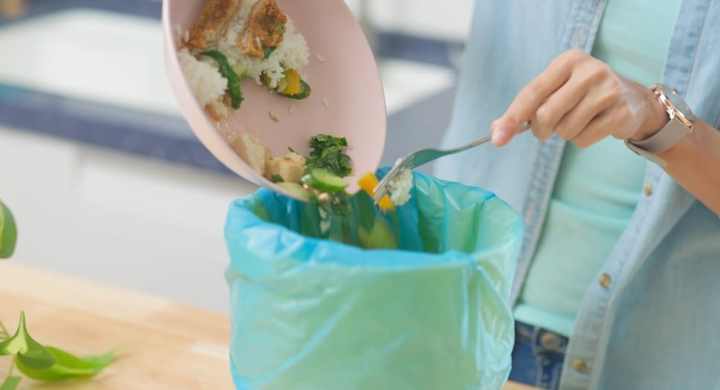 prevent food waste