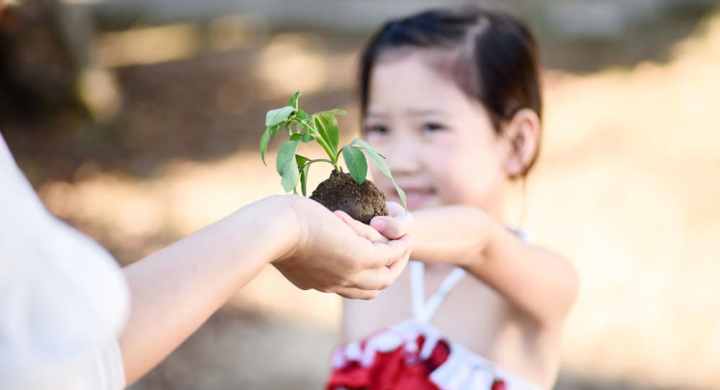 Little girl giving a seedling